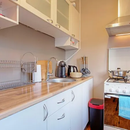 Vaike-ameerika 1 Bedroom Craftlat Apartment
